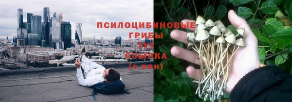 дмт Майский
