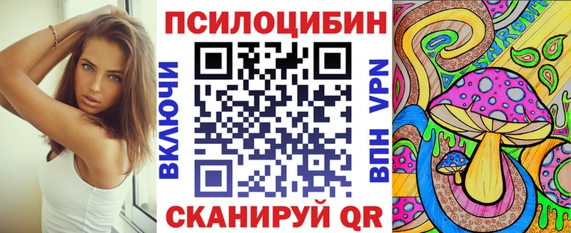 купить   Иланский  Галлюциногенные грибы Cubensis 